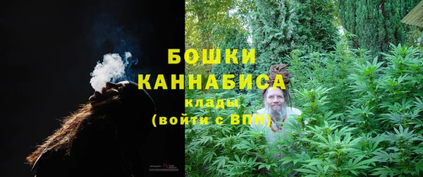 гидра Аркадак