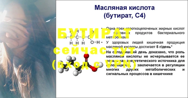 гидра Аркадак