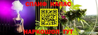 стафф Можга