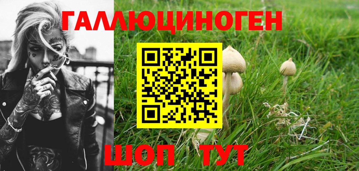 Псилоцибиновые грибы прущие грибы Полысаево