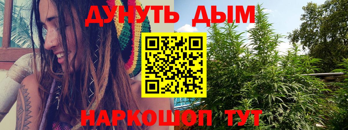 Бошки Шишки гибрид Полысаево